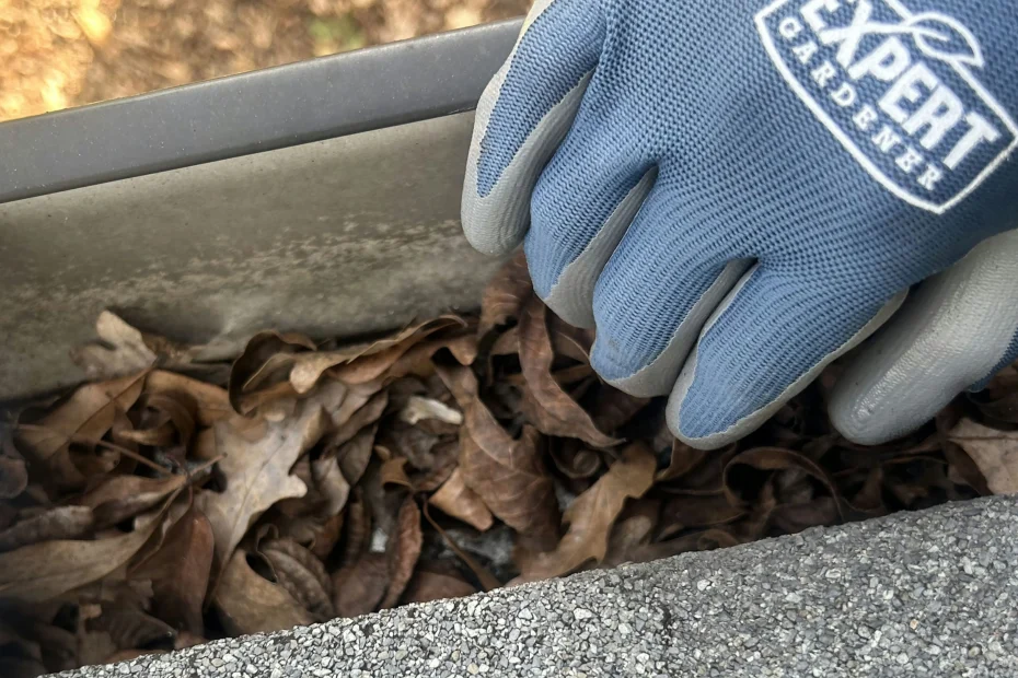 Gutter Cleaning Golden Beach FL