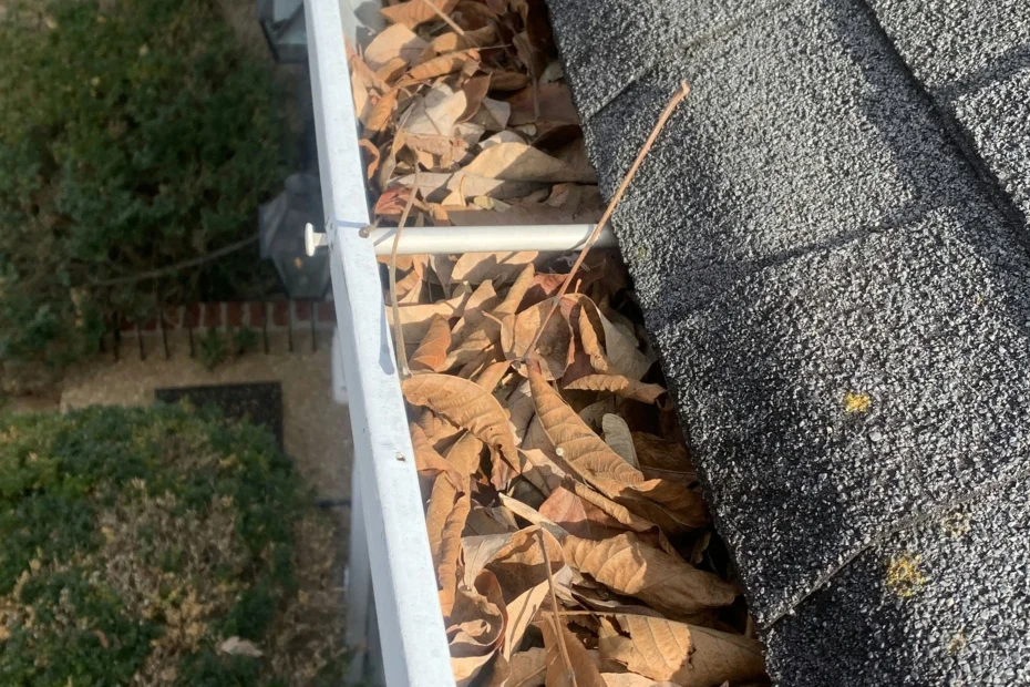 Gutter Cleaning Golden Beach FL